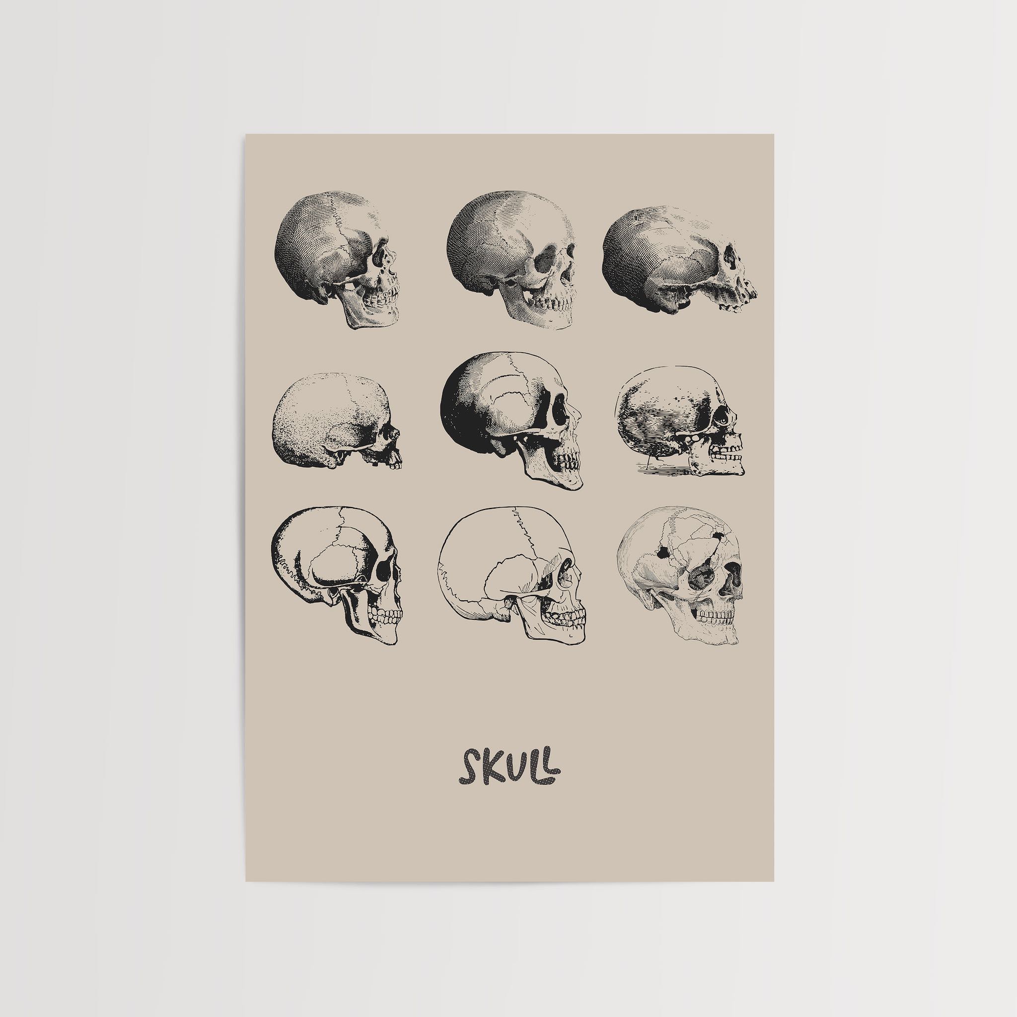 Farklı açılardan çizilmiş kafatası illüstrasyonları içeren vintage tarzda dekoratif poster, yatak odasında çerçeveli şekilde sergileniyor